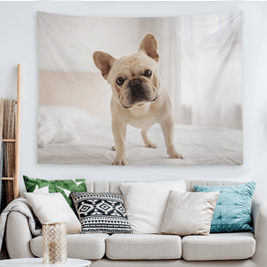 Custom Pet Photo Tapestry Short Plush Wall Decor Hanging Painting