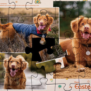 Custom Photo Puzzle Cute Pet - 35-500 pieces