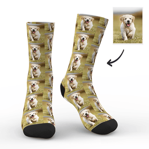 Pets Photo Engraved Socks For Women Men and Kids