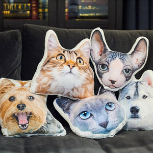 Custom Pet Photo Face Pillow 3D Portrait Pillow-cats