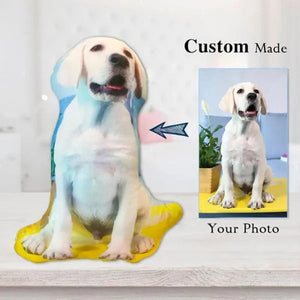 Custom Pet Photo Face Pillow 3D Portrait Pillow-cutecat
